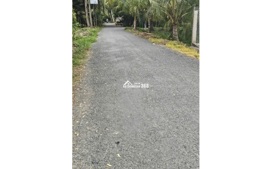 BÁN ĐẤT VƯỜN DỪA